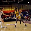 LFB : Conférence de presse après Villeneuve d’Ascq – Charleville-Mézières