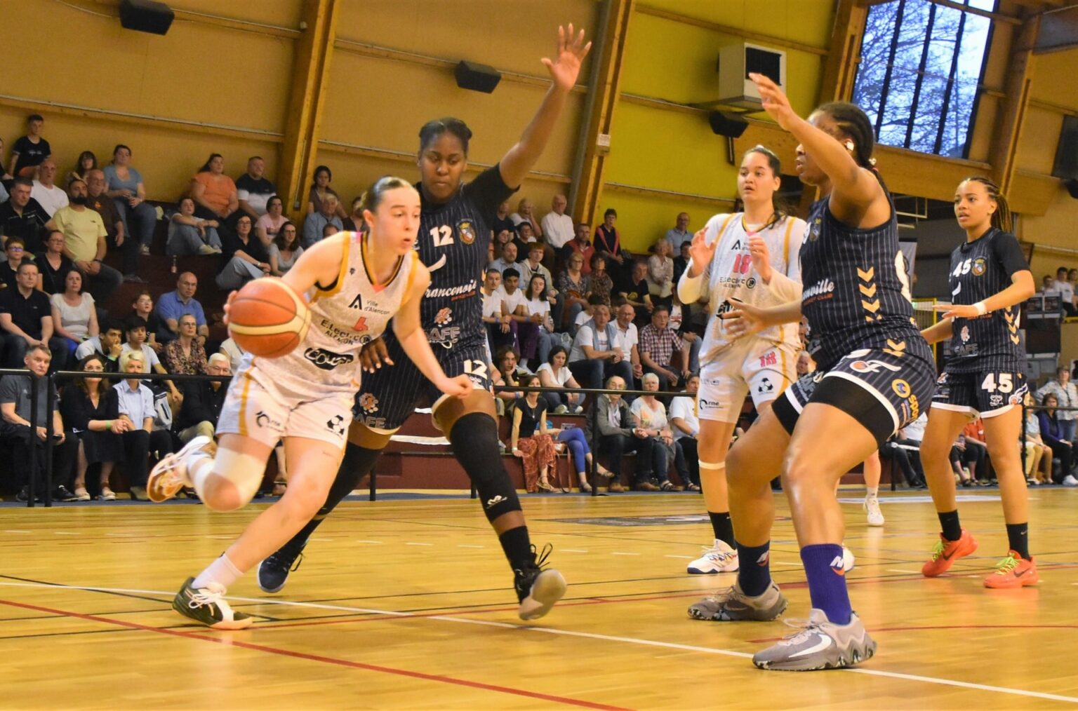 NF1 Poule B : Alençon Et Le Havre Sont En Forme Avant Les Playoffs, Les ...