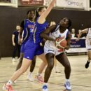 NF1 poule A : Colomiers part à Graffenstaden pour tenter de décrocher un quatrième succès